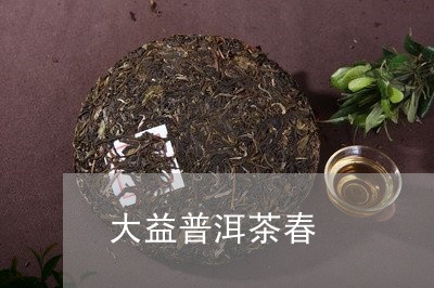 大益普洱茶春/2023042888461