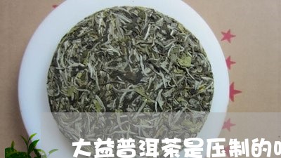 大益普洱茶是压制的吗/2023092847182