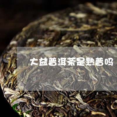 大益普洱茶是熟普吗/2023070986169