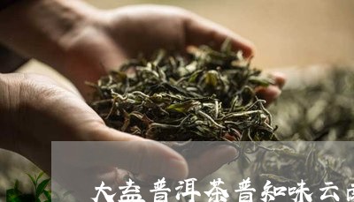 大益普洱茶普知味云南/2023061681503