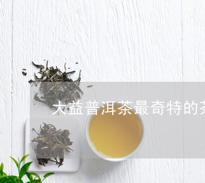 大益普洱茶最奇特的茶/2023073046138