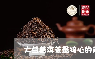 大益普洱茶最核心的两大技术/2023052744139