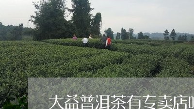 大益普洱茶有专卖店吗/2023061529380