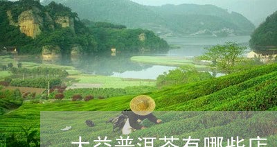 大益普洱茶有哪些店/2023071045941