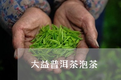 大益普洱茶泡茶/2023082900615