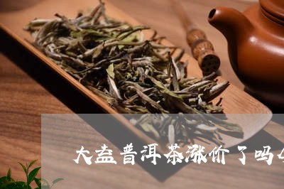 大益普洱茶涨价了吗今天/2023081777158