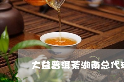 大益普洱茶湖南总代理/2023092522503