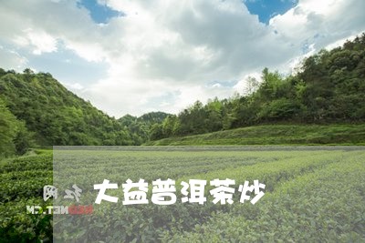 大益普洱茶炒/2023042590192