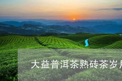 大益普洱茶熟砖茶岁月/2023062462635