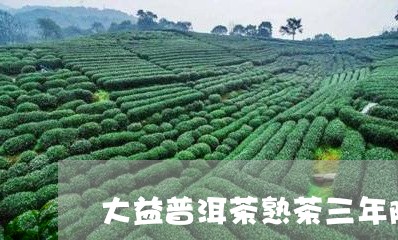 大益普洱茶熟茶三年陈/2023061942615