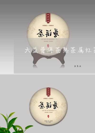 大益普洱茶熟茶属红茶/2023063069703