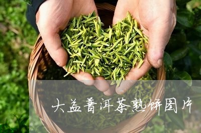 大益普洱茶熟饼图片/2023071015839