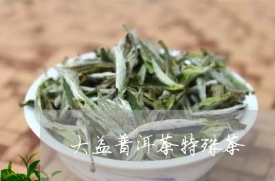 大益普洱茶特殊茶/2023112682684