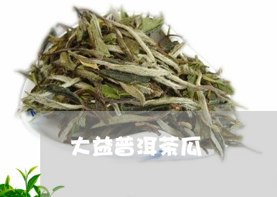 大益普洱茶瓜/2023042583758