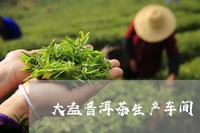 大益普洱茶生产车间/2023120589361