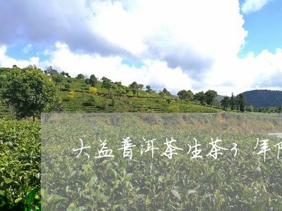 大益普洱茶生茶3年陈/2023061371637