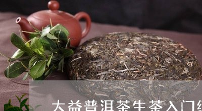 大益普洱茶生茶入门级/2023120694816