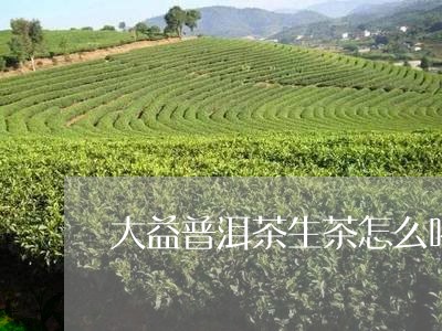 大益普洱茶生茶怎么喝效果好呢/2023110249371