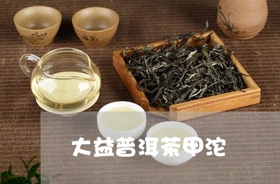 大益普洱茶甲沱/2023082651038