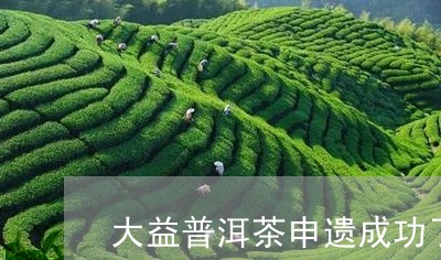 大益普洱茶申遗成功了吗/2023112566260