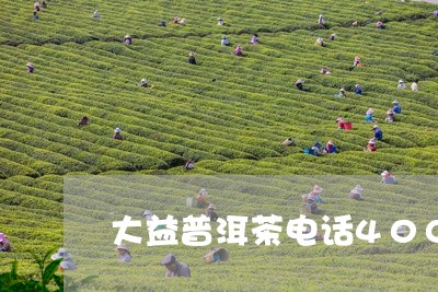 大益普洱茶电话400/2023100663725