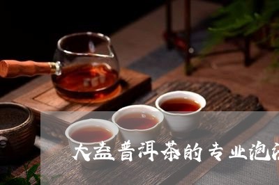 大益普洱茶的专业泡法/2023061762726