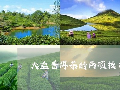 大益普洱茶的两项技术/2023061473047