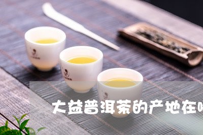 大益普洱茶的产地在哪/2023062314268