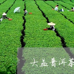 大益普洱茶的历史沿革/2023061653936