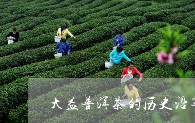 大益普洱茶的历史沿革与发展/2023110258360