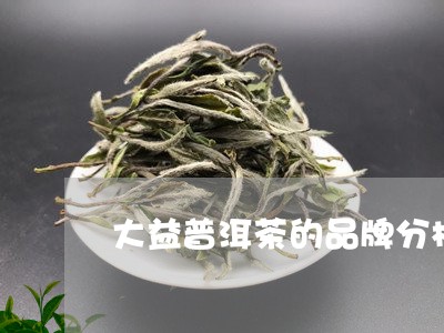 大益普洱茶的品牌分析/2023092517370