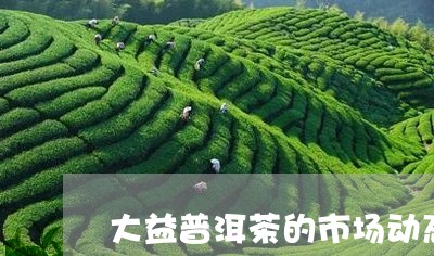 大益普洱茶的市场动态/2023092984026