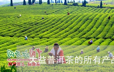 大益普洱茶的所有产品/2023092742606