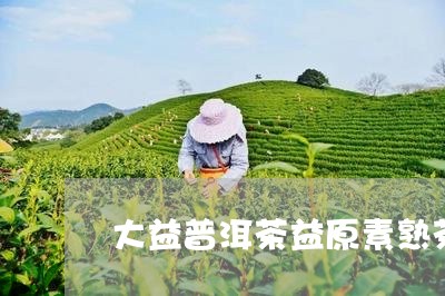 大益普洱茶益原素熟茶/2023073018591