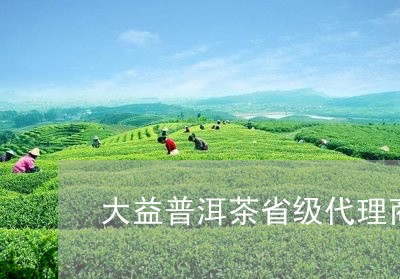 大益普洱茶省级代理商/2023092563716