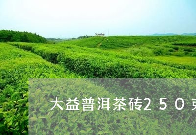 大益普洱茶砖250克/2023092501815