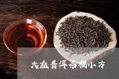 大益普洱茶福小方/2023073051404