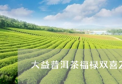 大益普洱茶福禄双喜2020年/2023121556350