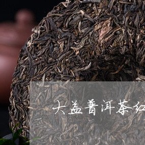 大益普洱茶红茶/2023110956048