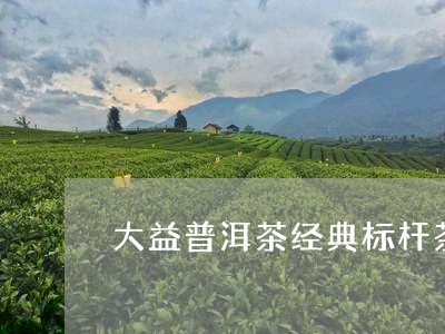 大益普洱茶经典标杆茶/2023062133979