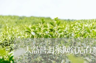 大益普洱茶网红店在哪/2023121570591