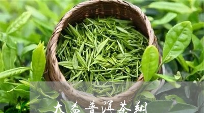 大益普洱茶翔/2023042506917