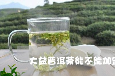 大益普洱茶能不能加盟/2023092564826