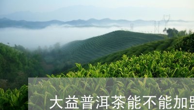 大益普洱茶能不能加盟代理/2023082914827