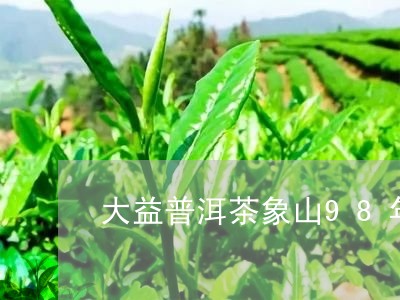 大益普洱茶象山98年/2023092905817