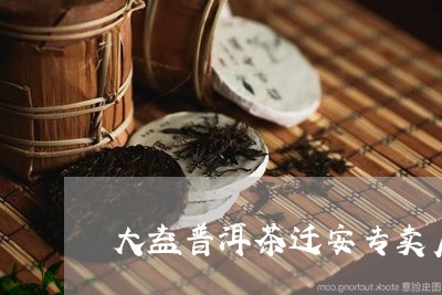 大益普洱茶迁安专卖店/2023092773917