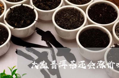 大益普洱茶还会涨价吗今年/2023110526269