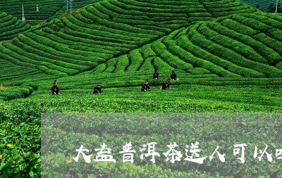 大益普洱茶送人可以吗/2023121523806