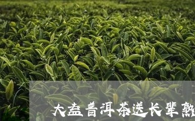 大益普洱茶送长辈熟茶/2023110535069