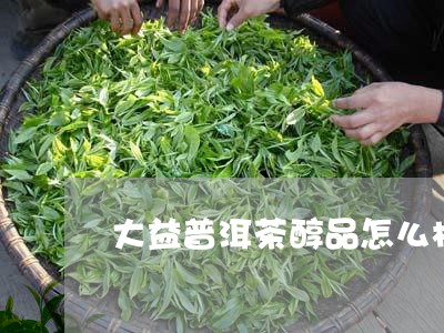 大益普洱茶醇品怎么样好喝吗/2023110412706